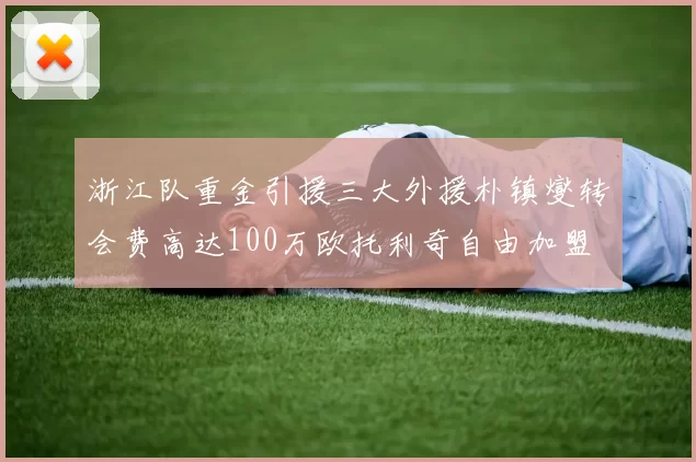 浙江队重金引援三大外援朴镇燮转会费高达100万欧托利奇自由加盟